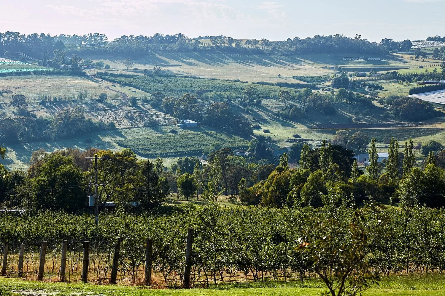 4-borrodell-winery-sisterys-rock-restaurant-152253-2-1-1