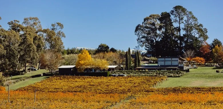 Black Tie and GumBoot Truffle Hunt and Dinner - with celebrity chef, mitch orr!