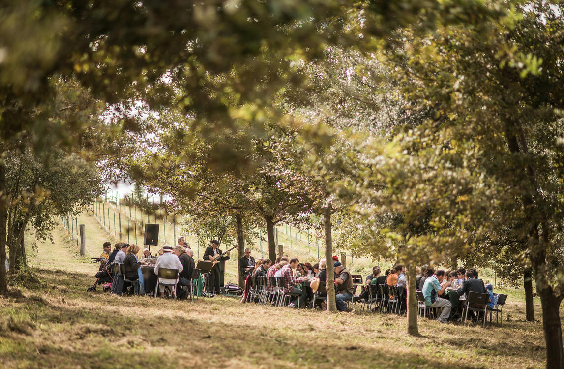 borrodellfoodweek-cider-saturday